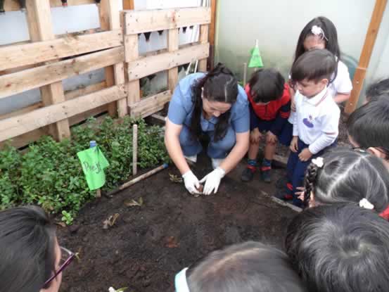 Foto JARDIN INFANTIL STANFORD