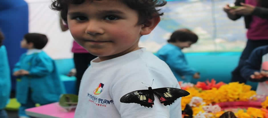 Miniatura Jardín Infantil Montessori Planet