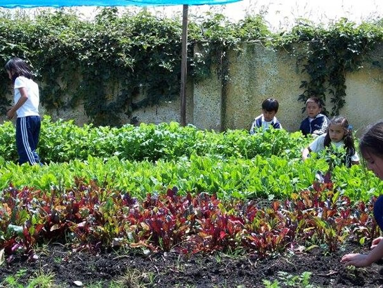 Miniatura JARDIN INFANTIL APRENDEMOS JUGANDO